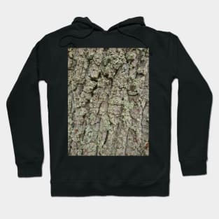 Tree bark and lichen texture Hoodie